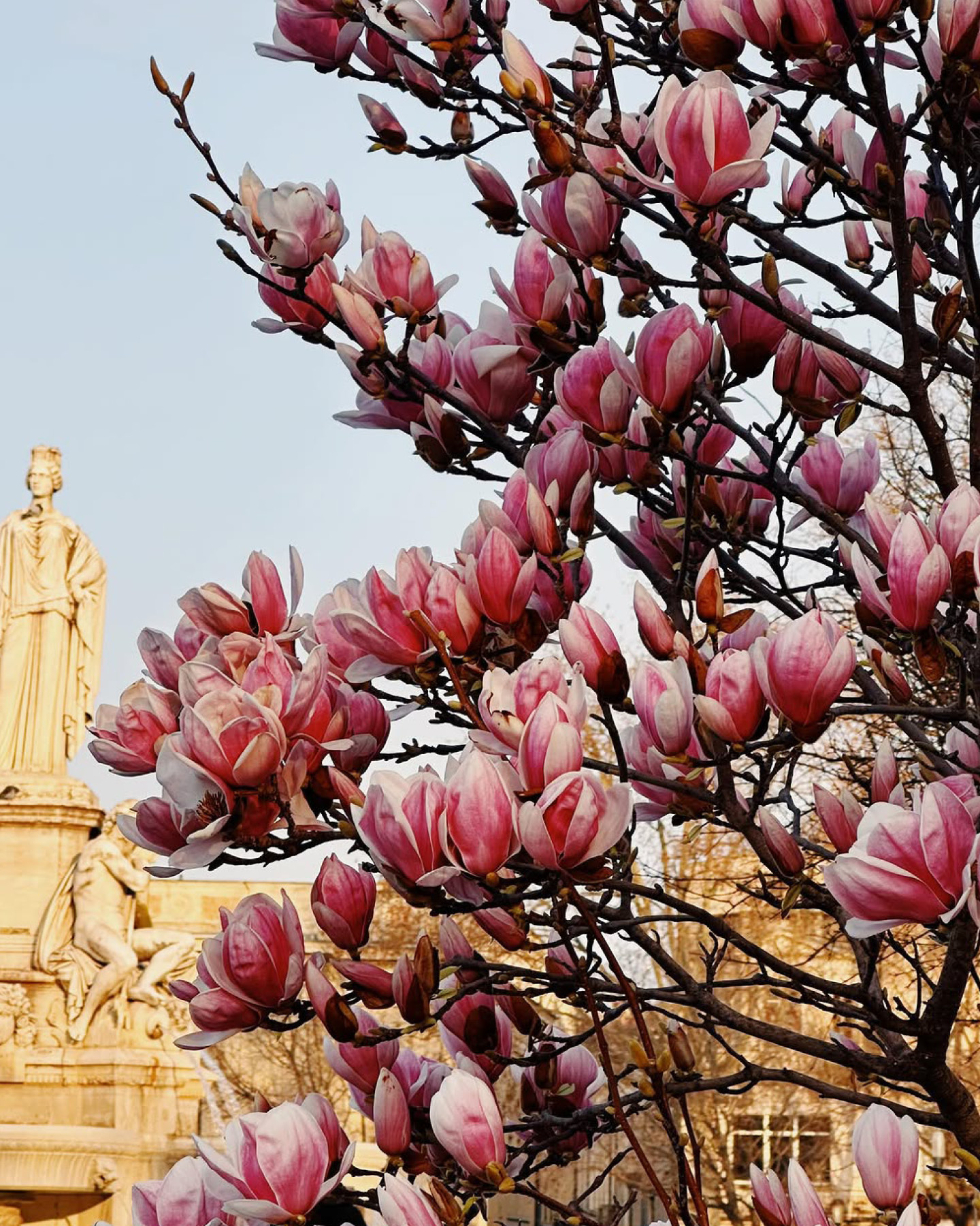 la_coupole_nimes_instagram_centre_commercial6